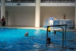 flipper_vs_fimco_20.jpg