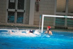 flipper_vs_fimco_21.jpg