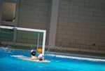 flipper_vs_fimco_22.jpg