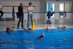 flipper_vs_fimco_27.jpg