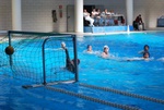 flipper_vs_fimco_31.jpg