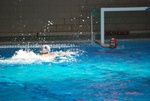 flipper_vs_fimco_32.jpg