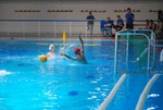 flipper_vs_fimco_33.jpg