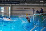 flipper_vs_fimco_34.jpg