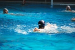 flipper_vs_fimco_35.jpg