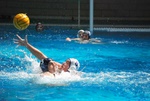 flipper_vs_fimco_36.jpg