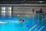 flipper_vs_fimco_37.jpg