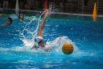 flipper_vs_fimco_38.jpg