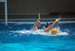 flipper_vs_fimco_39.jpg
