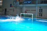 flipper_vs_fimco_41.jpg