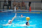 flipper_vs_fimco_42.jpg