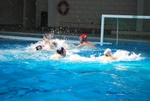 flipper_vs_fimco_43.jpg