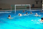 flipper_vs_fimco_44.jpg
