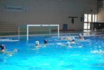 flipper_vs_fimco_45.jpg