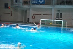 flipper_vs_fimco_46.jpg