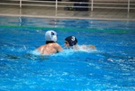flipper_vs_fimco_47.jpg