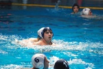 flipper_vs_fimco_48.jpg