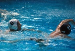flipper_vs_fimco_49.jpg