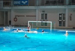 flipper_vs_fimco_50.jpg