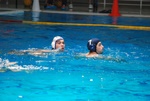 flipper_vs_fimco_51.jpg