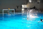 flipper_vs_fimco_52.jpg