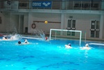 flipper_vs_fimco_53.jpg