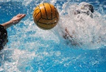flipper_vs_fimco_54.jpg