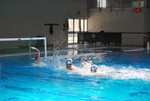 flipper_vs_fimco_55.jpg