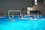 flipper_vs_fimco_56.jpg
