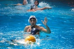 flipper_vs_fimco_57.jpg