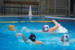 flipper_vs_fimco_58.jpg
