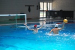 flipper_vs_fimco_59.jpg