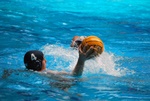 flipper_vs_fimco_60.jpg