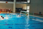 flipper_vs_fimco_61.jpg