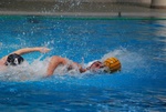 flipper_vs_fimco_62.jpg