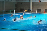 flipper_vs_fimco_63.jpg