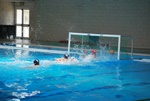 flipper_vs_fimco_64.jpg