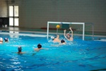 flipper_vs_fimco_65.jpg