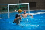 flipper_vs_fimco_66.jpg