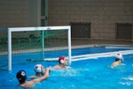 flipper_vs_fimco_67.jpg