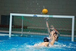 flipper_vs_fimco_68.jpg