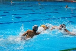 flipper_vs_molfetta_03.jpg