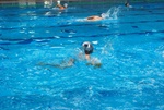 flipper_vs_molfetta_04.jpg