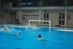 flipper_vs_molfetta_06.jpg