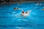 flipper_vs_molfetta_07.jpg