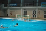 flipper_vs_molfetta_10.jpg