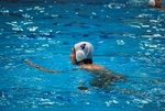 flipper_vs_molfetta_15.jpg