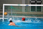 flipper_vs_molfetta_19.jpg
