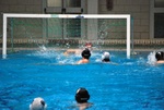 flipper_vs_molfetta_22.jpg