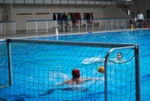flipper_vs_molfetta_23.jpg